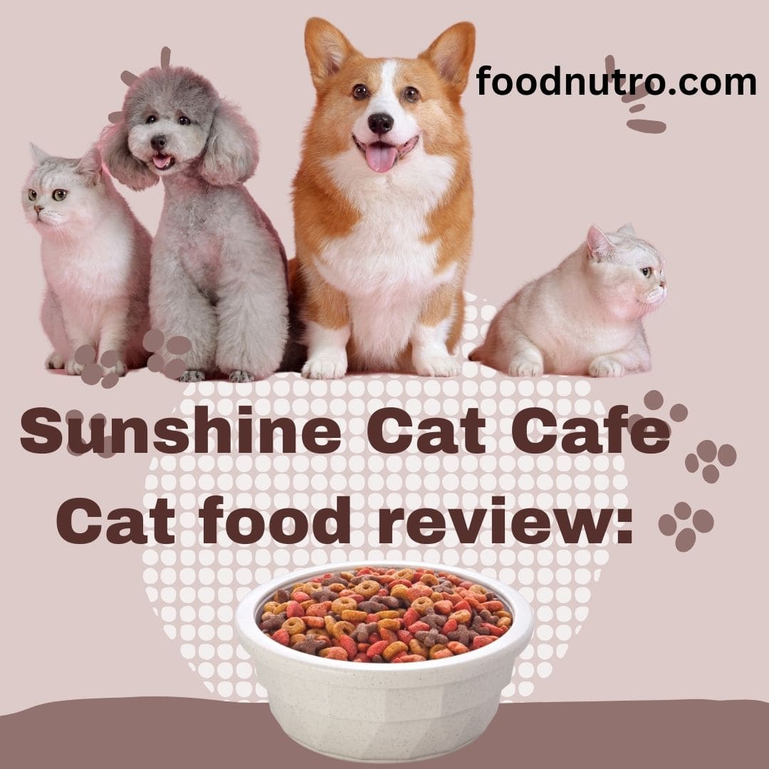 Sunshine Cat Cafe cat food review