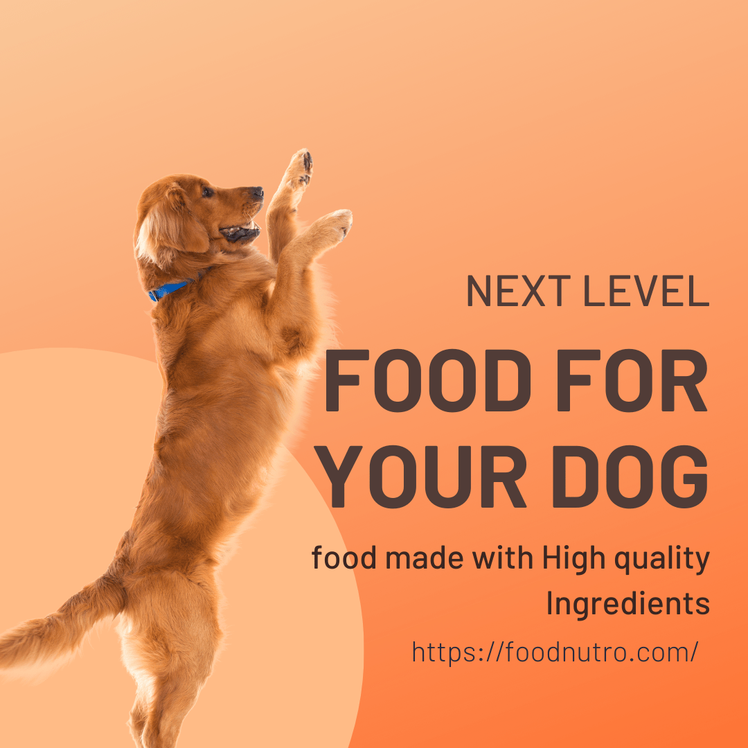 Next level Dog food Maintains Power in Next Level Dogs