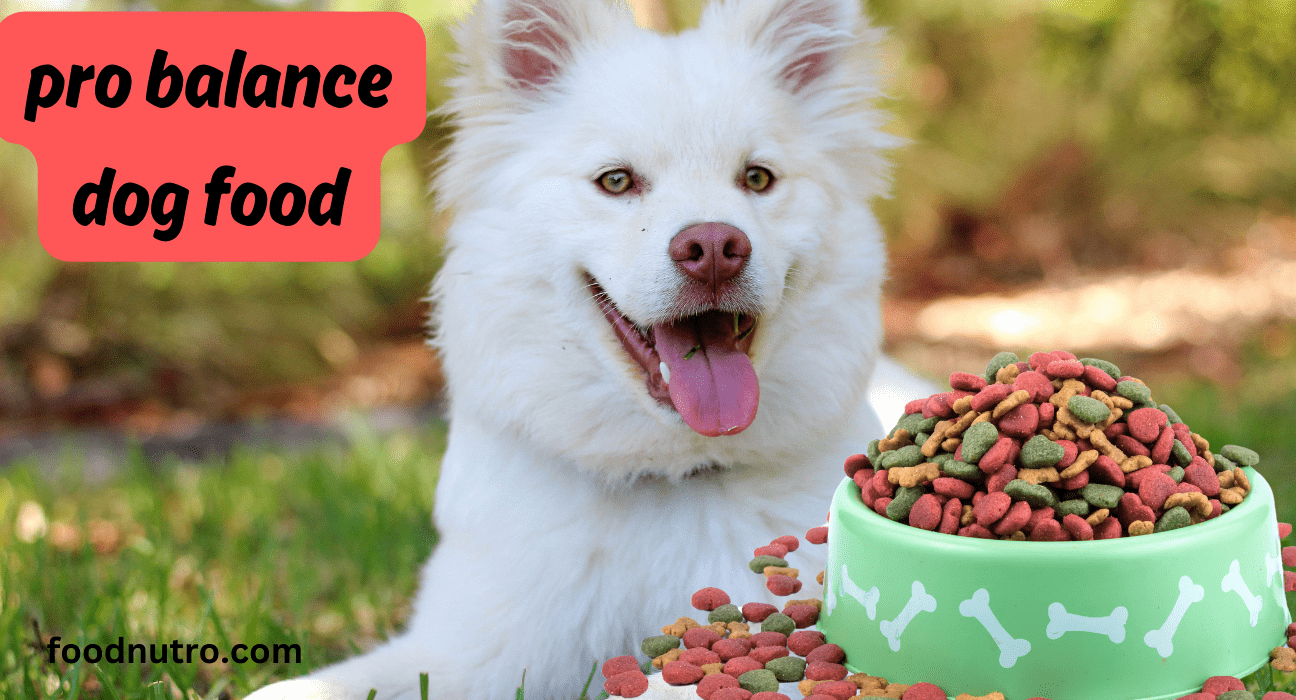 Pro Balance Dog Food gained attention for canine welfare