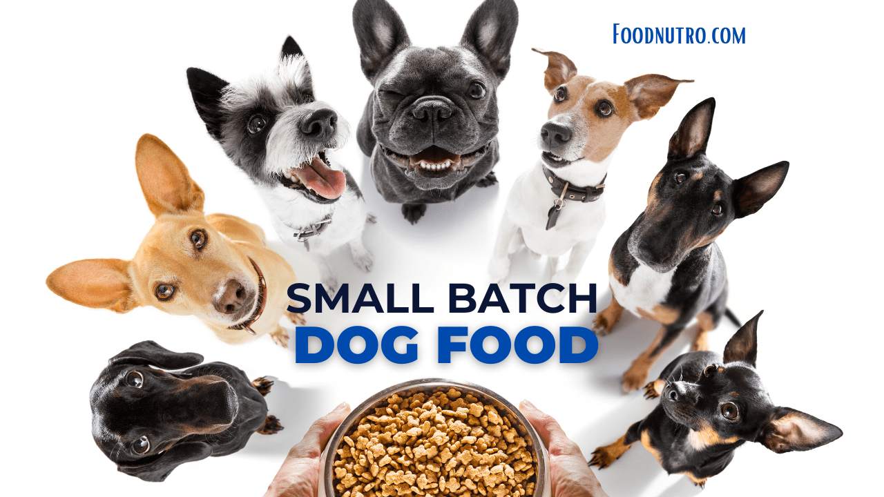 small batch dog food